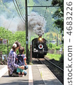 Fresh green Oigawa Railway 4683226