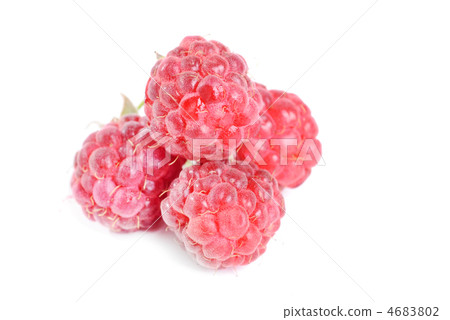 Stock Photo: Stock Photo: 4683802