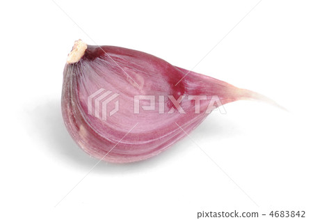 garlic   isolation  on white 4683842