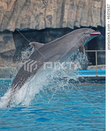 Frisbee catch 4685687