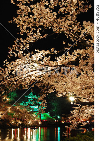 越後高田城堡在夜櫻花 4685852