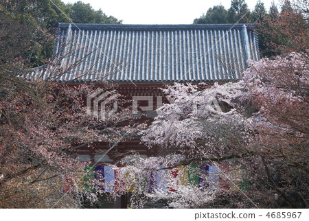 kinki, daigoji, shrines and temples 4685967