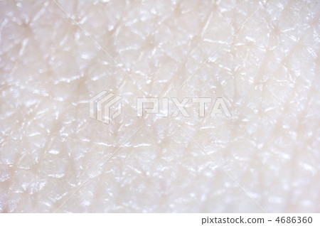 Healthy skin macro photography 4686360