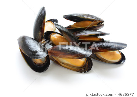 mussels	 4686577