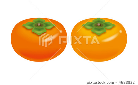 Illustration of persimmon. Icon set. 4688822