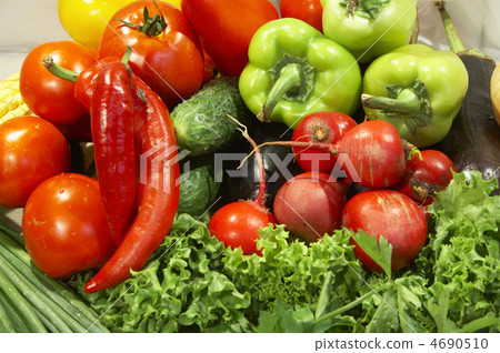 Colorful fresh group of vegetables Colorful fresh group of vegetables 4690510