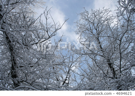 cold weather cold weather 4694621