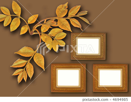 frames on color background frames on color background 4694985