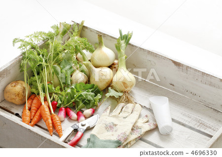 Household garden image Household garden image 4696330
