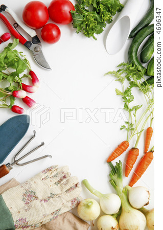 Gardening image Gardening image 4696347