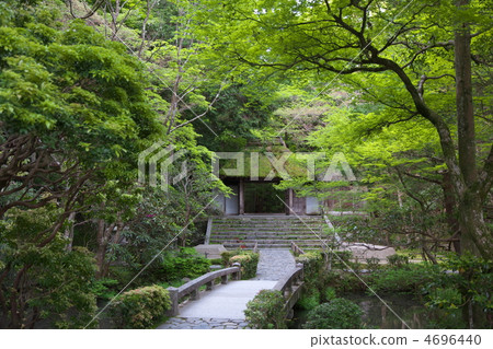 Spring Jokokuin Spring Jokokuin 4696440