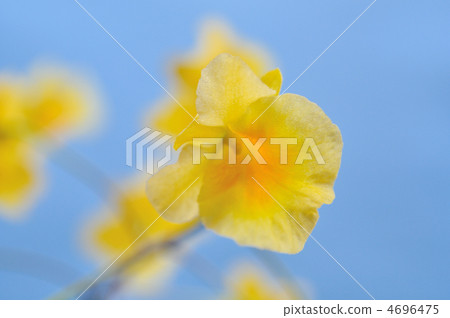 西部跑步（阿格瑞姆） 4696475