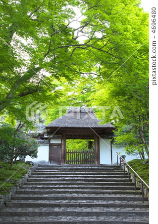 安田寺的新鮮綠色 安田寺的新鮮綠色 4696480