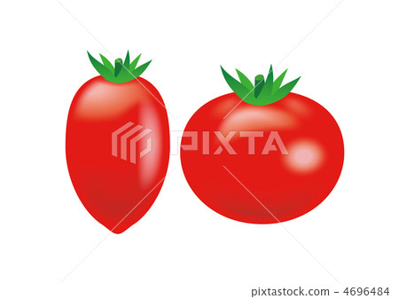 Icon set of tomatoes and whole tomatoes. 3D illustration. 4696484