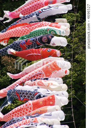 Carp streamer 4696527