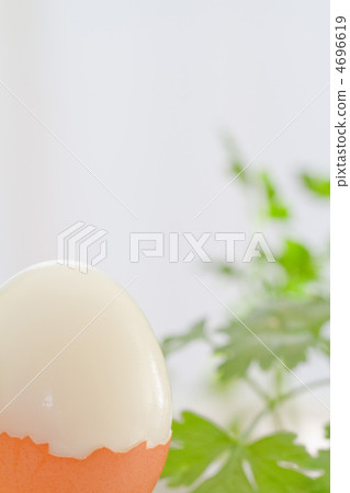 煮雞蛋和意大利歐芹 4696619