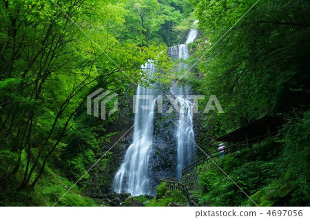 White boar waterfall White boar waterfall 4697056