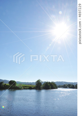 Asahi from the Malgrave River (Cairns, Australia) 4697229