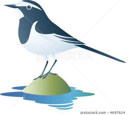 Black-backed wagtail 4697624