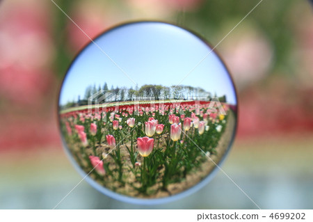 Sera Highland Farm 29 4699202