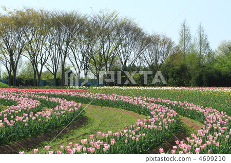 Sera Highland Farm 21 Sera Highland Farm 21 4699210