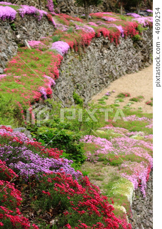 High Masonry Masonry 4699254