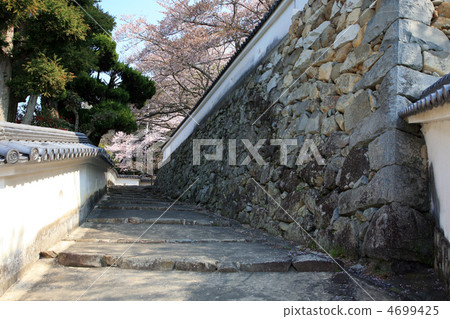 Tatsuno castle 4699425