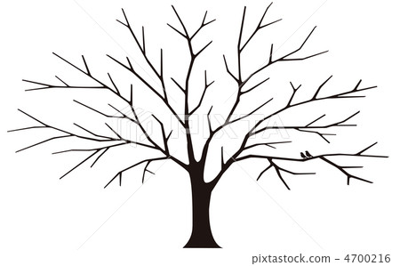 Tree Silhouette 4700216