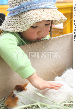 A child trying to touch a hamster at a zoo A child trying to touch a hamster at a zoo 4700982