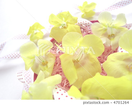 Flower presents image 4701264