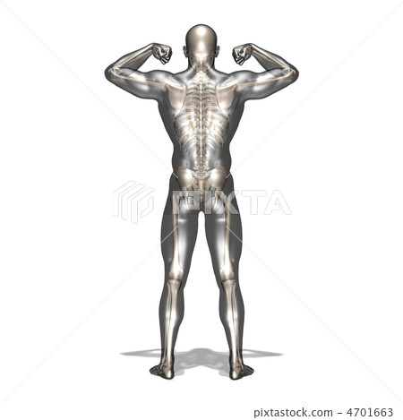 Human body Human body 4701663