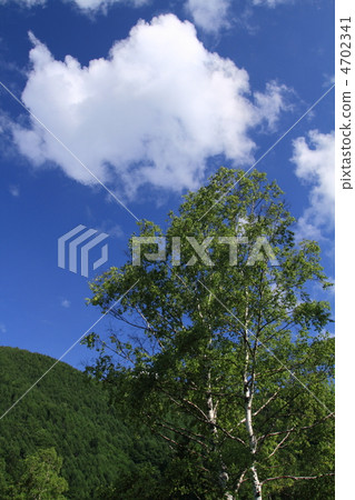 Summer Norikura Kogen 4702341
