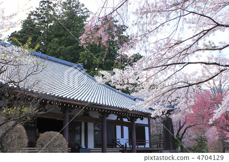 Hikaru-ji Temple Auditorium 4704129