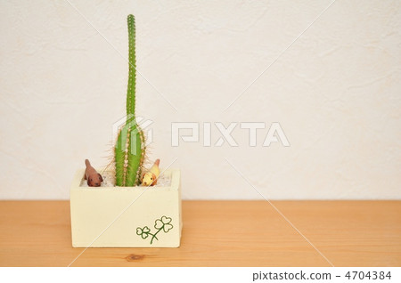 室內迷你仙人掌(更多副本空間) 室內迷你仙人掌(更多副本空間) 4704384