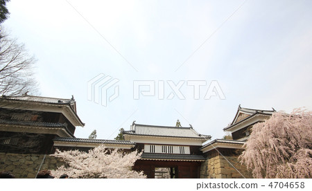 Ueda castle and cherry tree 2012 Ueda castle and cherry tree 2012 4704658
