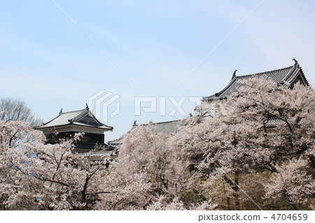 Ueda城堡Senbon佐倉2012年 4704659