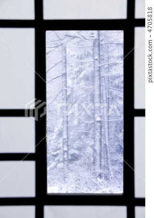  Sliding door 4705818