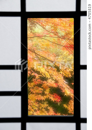  Sliding door 4705819