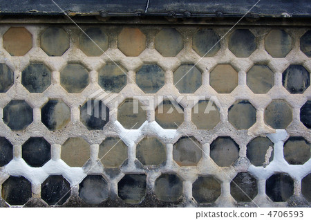 Sea cucumber wall Sea cucumber wall 4706593