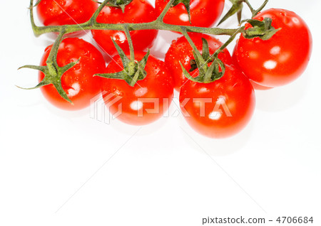 簇生番茄 4706684
