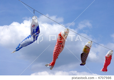 Koinobori swimming carp streamer Dusan festival 4707986