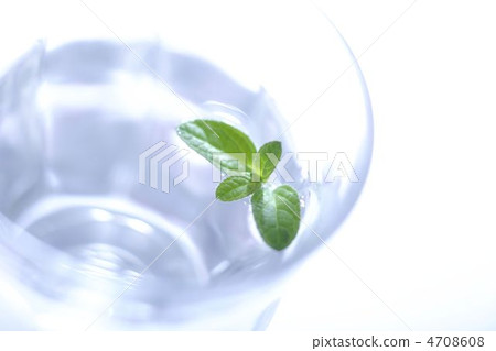 生態形象 生態形象 4708608