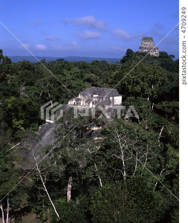 蒂卡爾國家公園失落的世界和第4寺 4709249