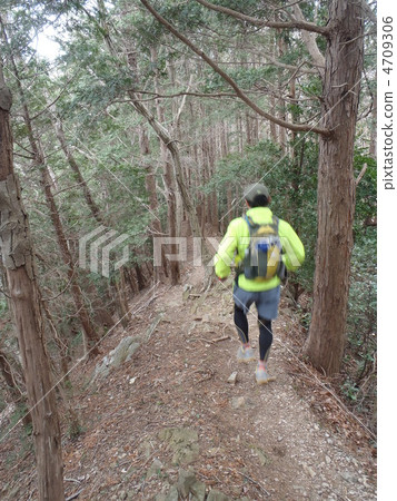Trail running 4709306