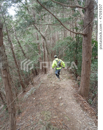 Trail running Trail running 4709307