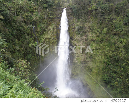 Akaka Falls 4709317