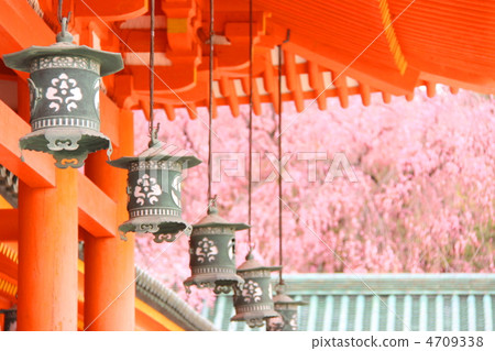 平安神宮 4709338