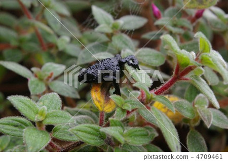 Orio Furinera 4709461