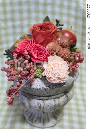 preserved flower 4709677
