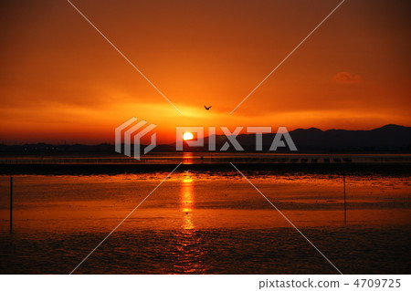 Sunset of Lake Hamana Sunset of Lake Hamana 4709725